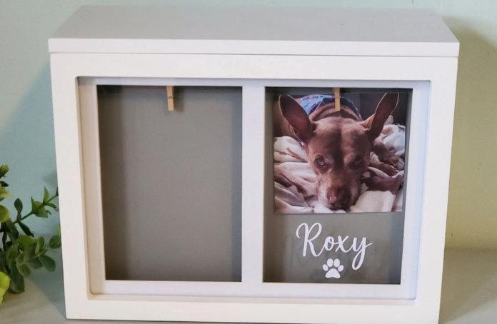 Personalized Pet Urns: A Unique Way to Celebrate Your Pet's Life